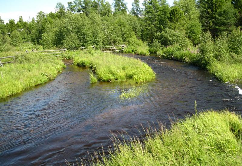 Баргузинский заповедник в Бурятии Россия