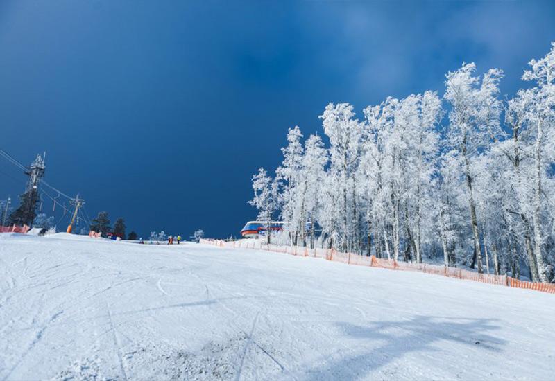 Погода на курорте Завьялиха