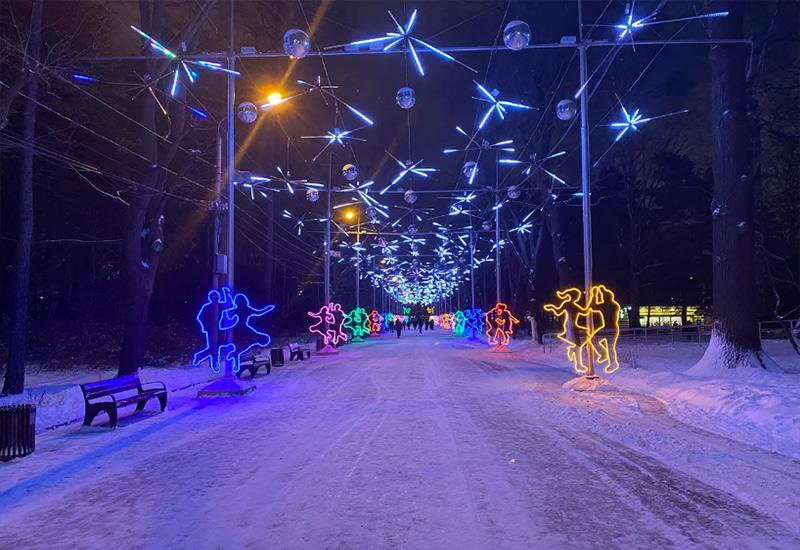 Парк Сокольники зимой