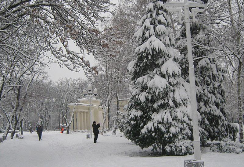 Городской сад Краснодар Новый год