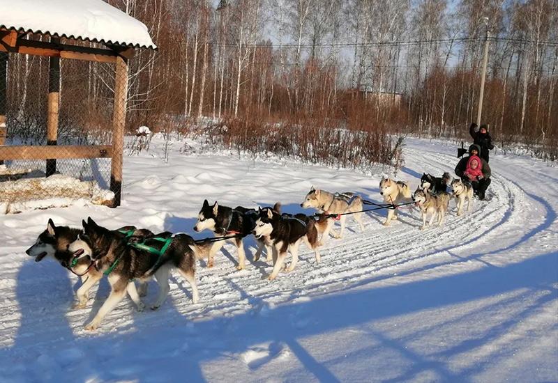 Хаски центр Аквилон Челябинск Новый год