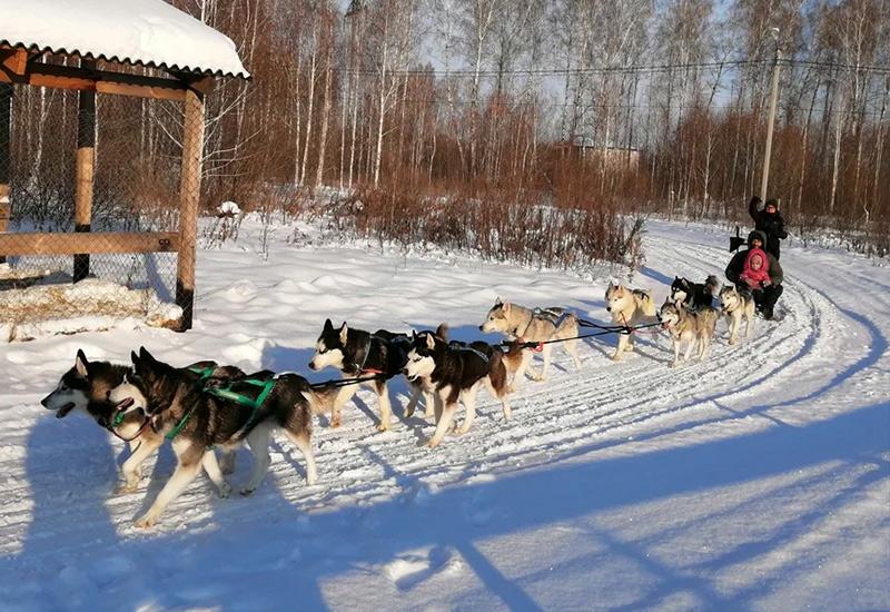 Хаски центр Аквилон Челябинск Новый год