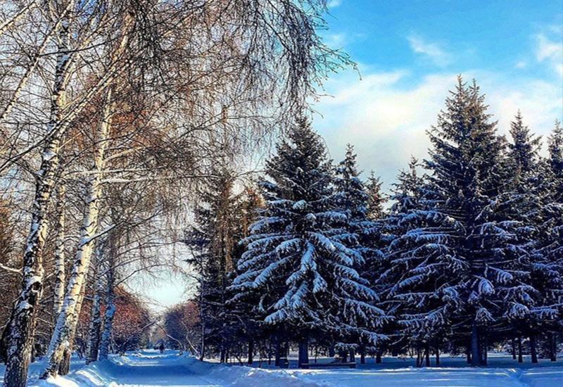 Академгородок Новосибирск зима