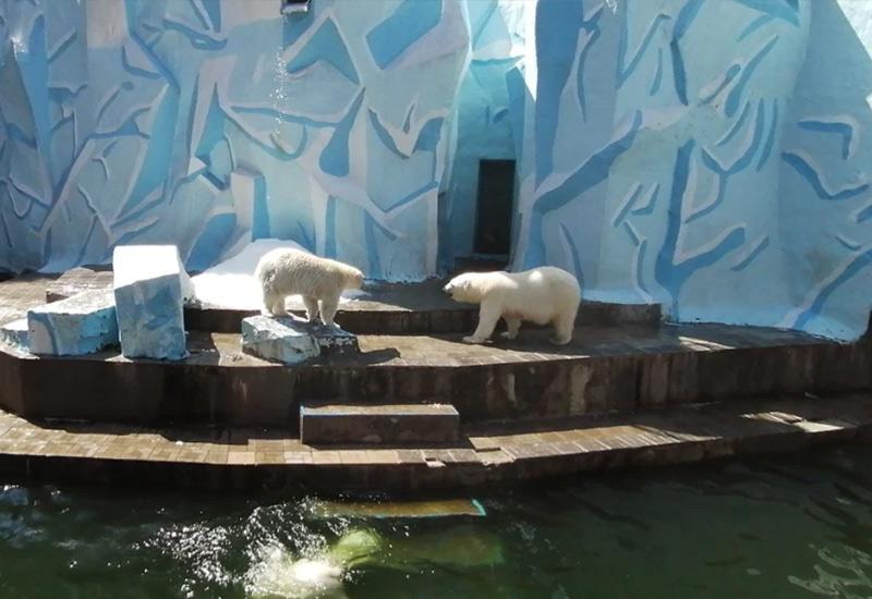 Новосибирский зоопарк 