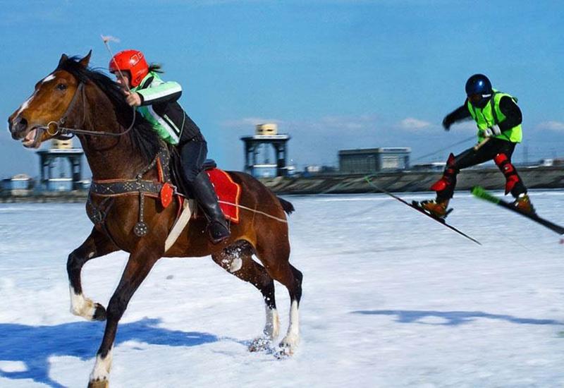 Скиджоринг конный спорт