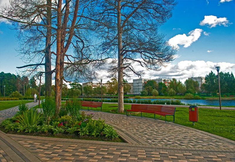 Парк Сосны Новая Москва самые красивые места