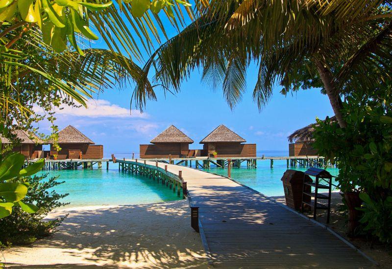 куда поехать в марте - на Мальдивские острова