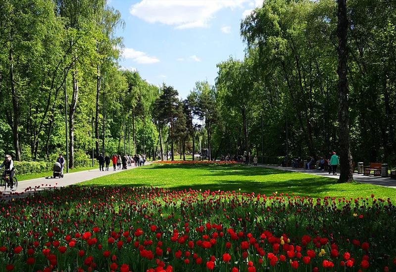 Парк Кузьминки - место, куда можно сходить с девушкой в Москве