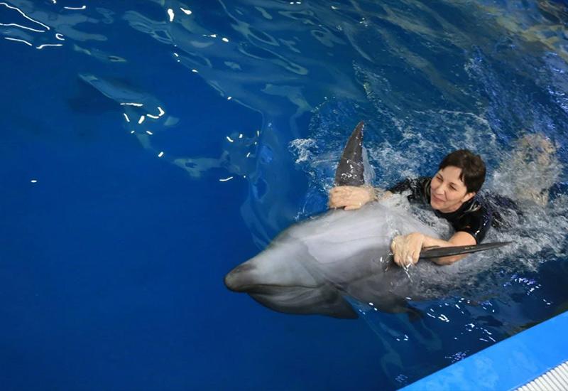 Дельфинотерапия в Москвариуме