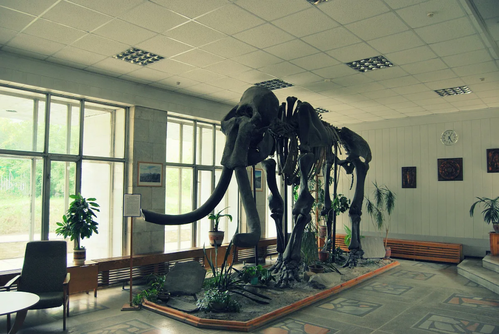 Академгородок и озеро Обь: музеи науки и сибирская природа