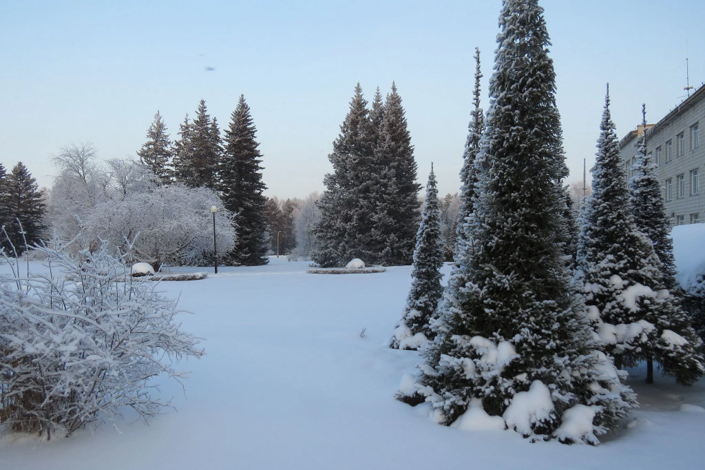Академгородок и озеро Обь: музеи науки и сибирская природа